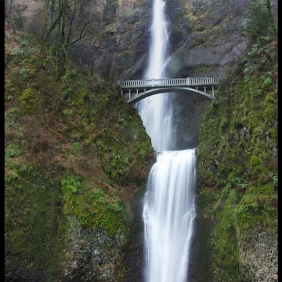 New listing item! Check it out! - Picture 10 of 11